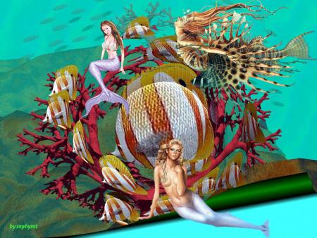 aquatique 001