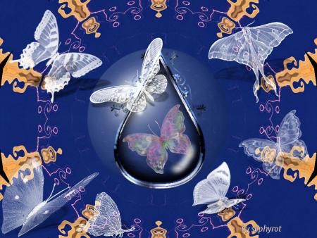 papillons 001
