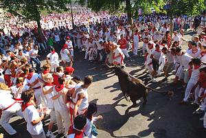 courses de vaches place st andré durant les fetes